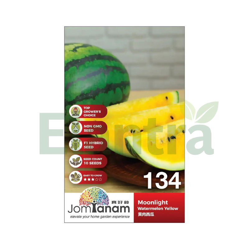 134 WATERMELON YELLOW